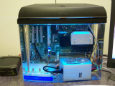 Aquarium PC on Desk; view 4